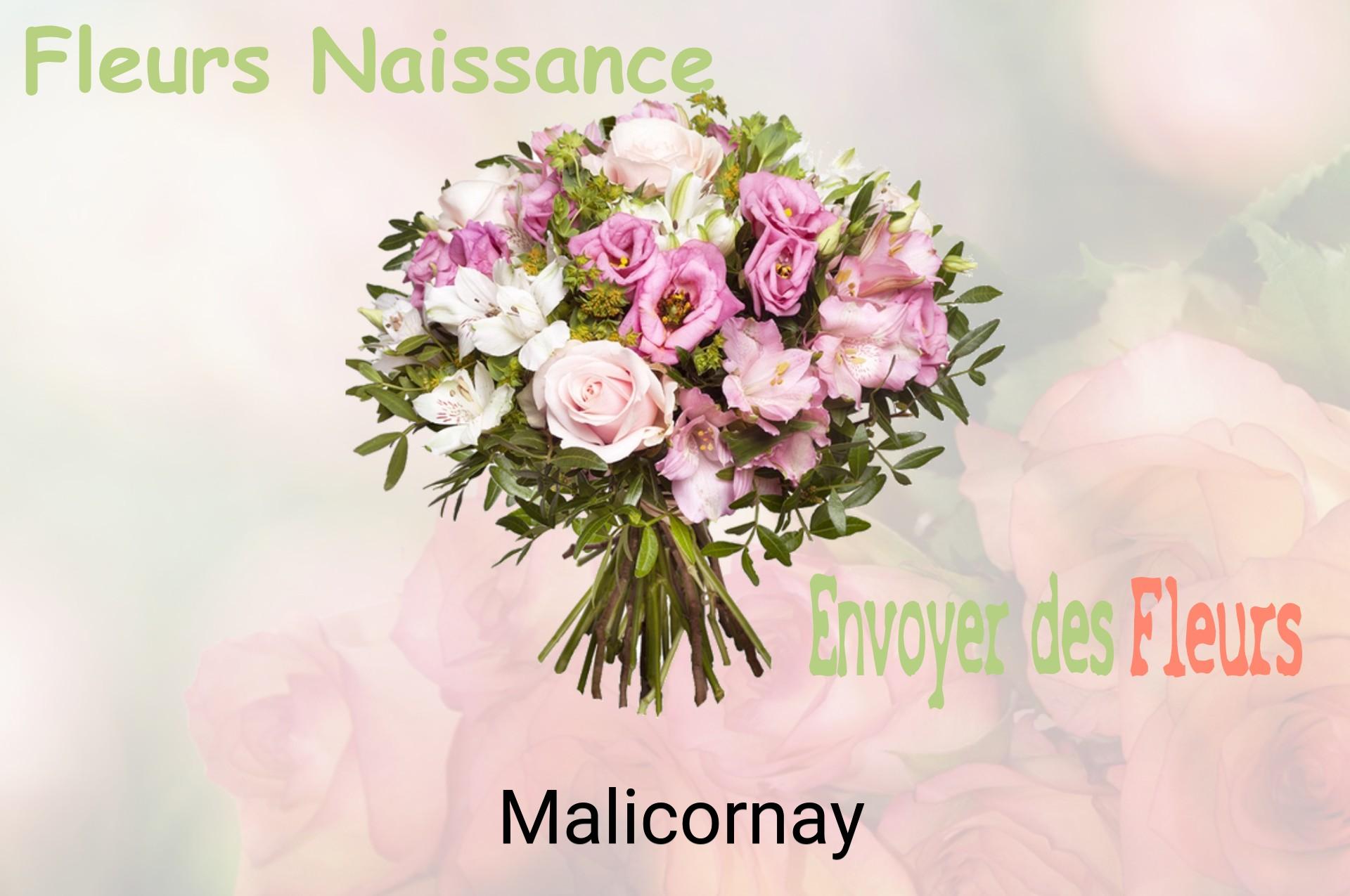 Bouquet de fleurs de naissance livré à Malicornay